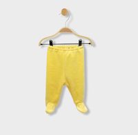 ританки - 37521 вида