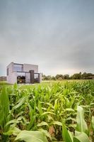 стенни облицовки - 70437 възможности