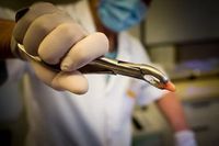 детска стоматология - 92470 вида