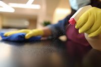 фирма за дезинфекция - 39329 разновидности