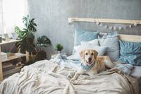 портманто - 18968 оферти портманто - 34589 оферти