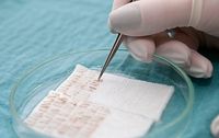 уголемяване на бюст - 66925 комбинации уголемяване на бюст - 42303 комбинации