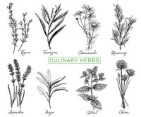 витамини - 70963 промоции