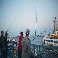 воблери - 47836 новини