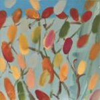 луксозни дамски шалове - 86371 отстъпки