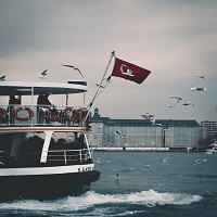 MSC круизи - 33478 вида