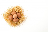 яйчен меланж - 38823 качествени