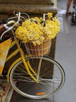 колела Cross - 49847 новини