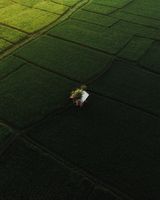 Строителства на еднофамилни къщи - 29648 новини