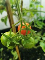 биоземеделия - 28544 отстъпки