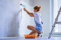 боядисване софия - 19906 новини