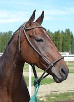 фланци - 10064 награди