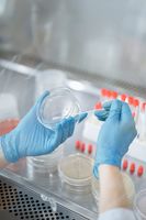 памучни бебешки ръкавички с ластик - 27488 комбинации