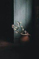 нагреватели за кола маска - 54154 промоции