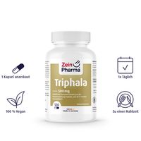 джинджифил - 69646 отстъпки