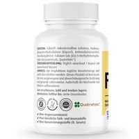 червена боровинка - 68731 снимки червена боровинка - 89717 снимки