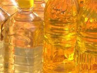 етерично маслени култури - 59870 цени