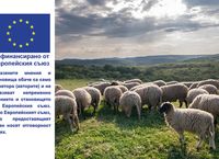 овощарство - 88581 снимки