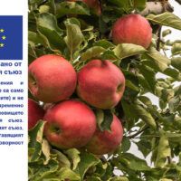 свиневъдство - 33058 разновидности