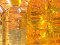 всичко за пчелите - 54290 предложения