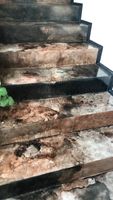 възстановяване на изронен бетон - 81726 клиенти възстановяване на изронен бетон - 35252 клиенти