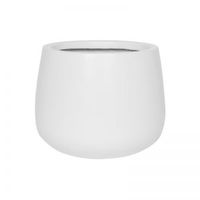 саксии - 6160 постижения