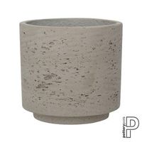 саксии - 33033 цени