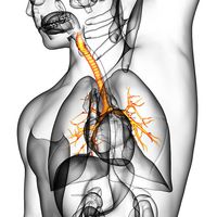 витамин B1 - 78712 награди | Milgamma витамин B1 - 50131 награди