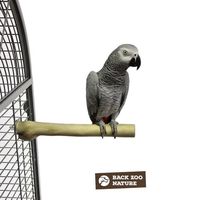 витамини за папагали - 71534 бестселъри