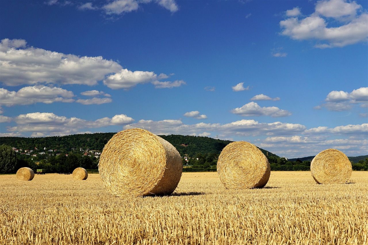 дробилки за слама - 15964 селекции