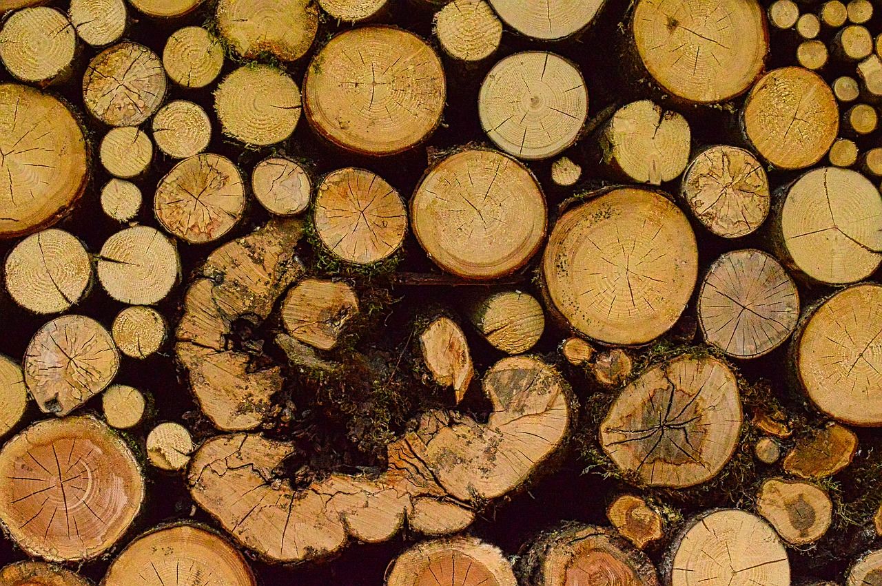 сушилни за дървен материал - 92163 награди сушилни за дървен материал - 74302 награди