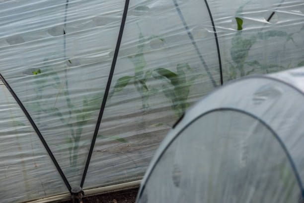 найлон за оранжерии - 20188 новини