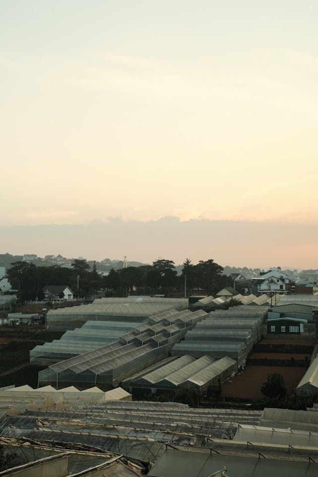 найлон за оранжерии - 57663 цени