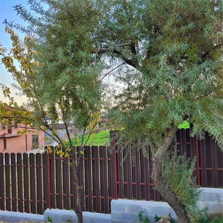 оградни пана - 61059 новини оградни пана - 83199 новини