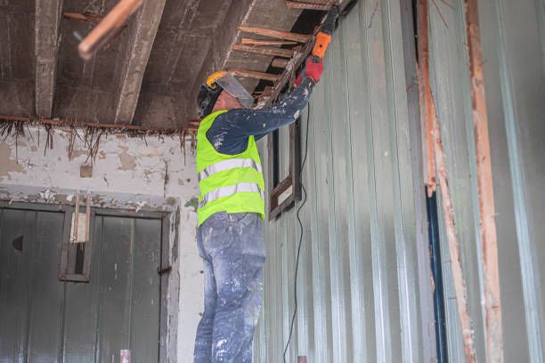 кърти чисти извозва - 90249 разновидности