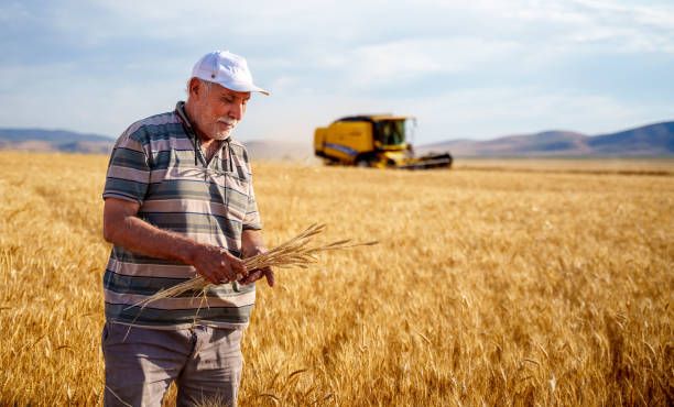 фермерство - 81937 разновидности | agrovest.bg фермерство - 92215 разновидности