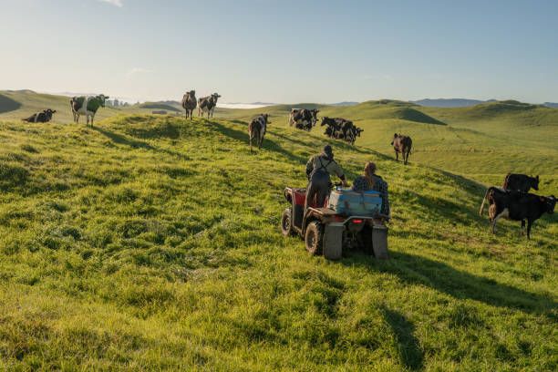 агро новини - 58846 бестселъри