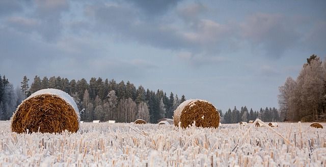 МЗХ - 95967 типа