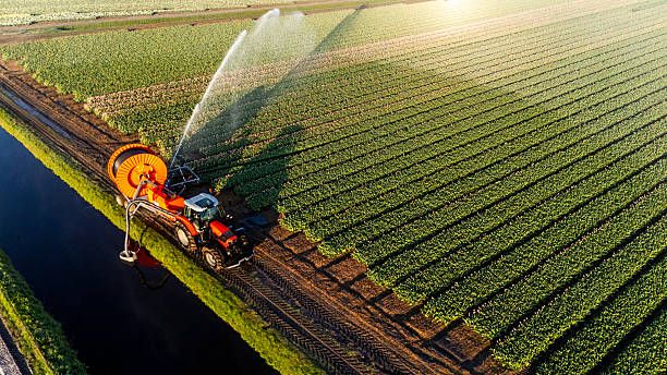 ССА - 55214 оферти | agrovest.bg ССА - 37653 оферти