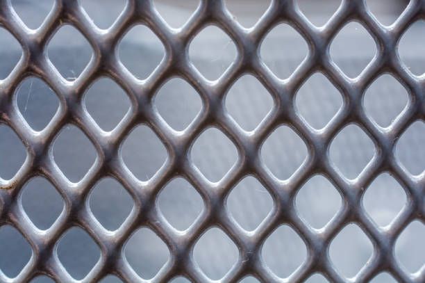 перфорирани скари - 69711 новини перфорирани скари - 17038 новини